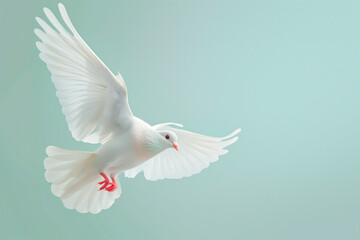 Fototapeta premium Peace, love and delicate.