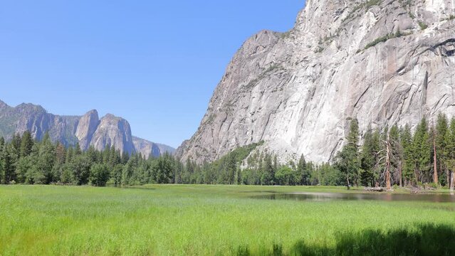 Camera moves past a beautiful meadow in Yosemite National Park in California.