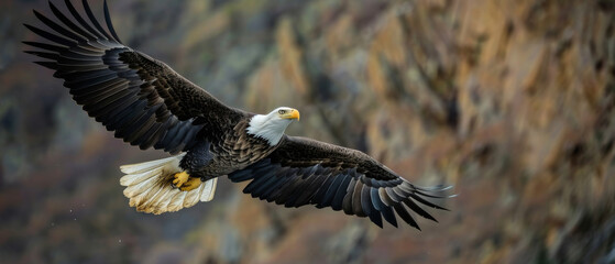 Obraz premium A powerful eagle in mid-flight with its wings spread wide, set against a rocky cliff background.