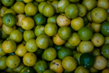 Lemon Continuos photo background