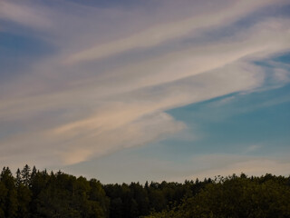 clouds over the forest during evening 