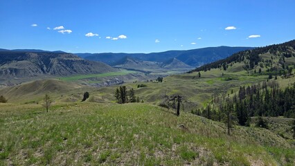 Naklejka premium Grasslands