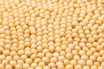 大豆のバックグラウンド