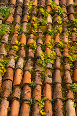 view of the city in Kotor, Montenegro