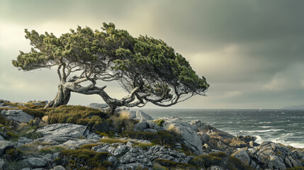 Solitary Strength: Ancient Juniper Tree on Windy Shore. Generative AI