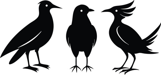 Bird silhouette set vector Elegant and Minimalist Design