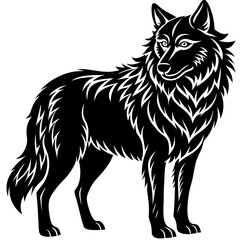 Illustration of, Black Wolf, Howling