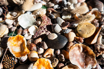 Sea treasures: mix of beautiful seashells, pebbles and colorful glasses found on Sardinian beaches in Italy.