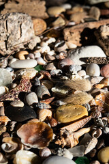 Sea treasures: mix of beautiful seashells, pebbles and colorful glasses found on Sardinian beaches in Italy.