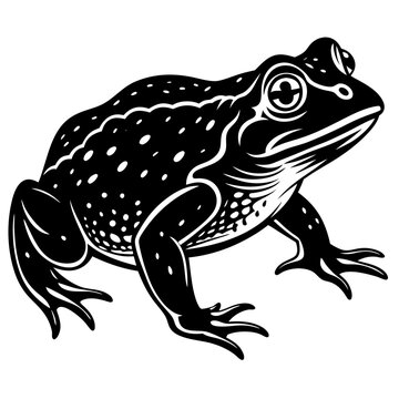 recommend clip art: Hand Drawn Frog Silhouette Isolated On White Background. Vector Illustration In Flat Style