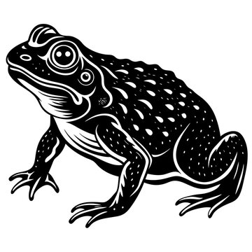 recommend clip art: Hand Drawn Frog Silhouette Isolated On White Background. Vector Illustration In Flat Style