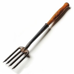Fototapeta premium A Wooden Handled Metal Fork Gardening Tool