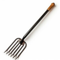 Naklejka premium A Wooden Handled Metal Fork Gardening Tool