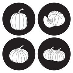 pumpkin fruit icon