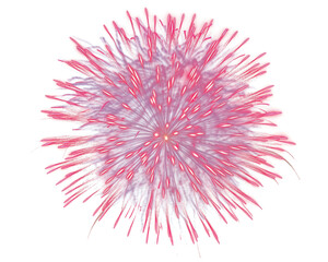 Obraz premium A vibrant explosion of colors illuminating the dark night sky, showcasing a dazzling fireworks display