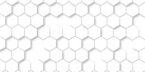 Abstract white hexagonal geometric luxury White 3D futuristic honeycomb mosaic white background. Simply geometric pattern and Copy space.  White luxury hexagons abstract background 