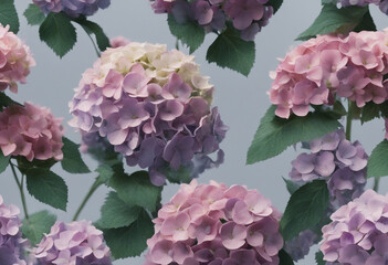 Flowers bouquet made with Hydrangeas isolated on transparent background