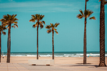 Tall coconut palm trees against clear blue sky. A tropical resort in summer morning. Natural exotic plants background. Sea, ocean coast, sandy beach.