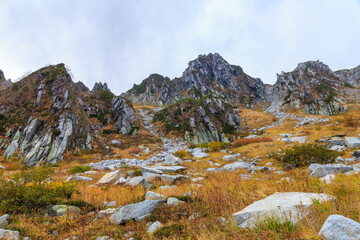 駒ヶ岳千畳敷カールの紅葉（日本、長野県）