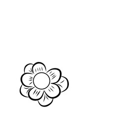 flower sketch