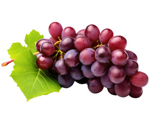 Fototapeta premium A bunch of ripe red grapes with a green leaf, isolated on a white background.