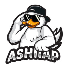 duck eyeglasses, hat mascot cartoon