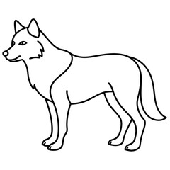 wolf vector illustration