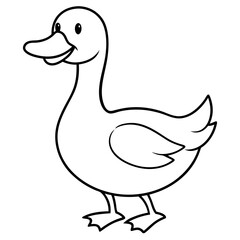duck isolated on white