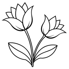 black and white flower