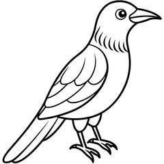 illustration of a bird