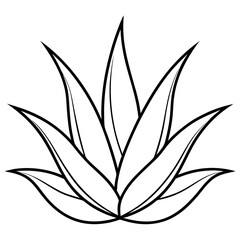 silhouette of a plant