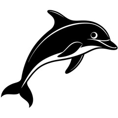 dolphin isolated on white background