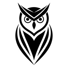 owl on white background