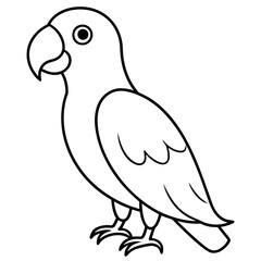 illustration of a bird
