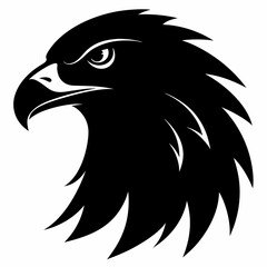 eagle head vector illustration