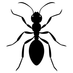 illustration of a spider