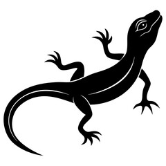 Fototapeta premium lizard on a black background