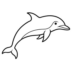 dolphin isolated on white