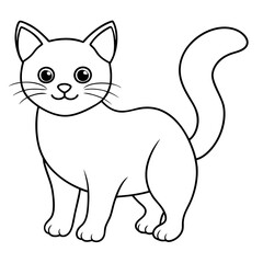 black and white cat