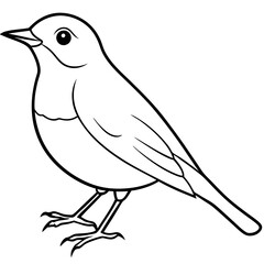 bird on a branch