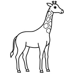 giraffe cartoon illustration