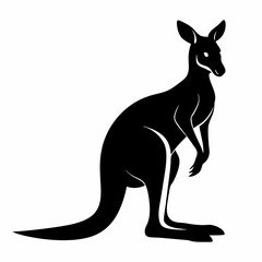 kangaroo illustration