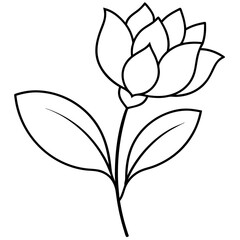 vector rose flower