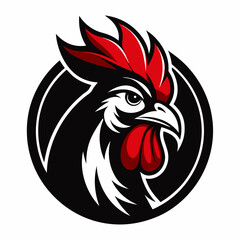 rooster isolated on white background