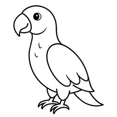 owl on white background