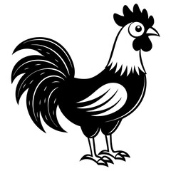 rooster isolated on white background