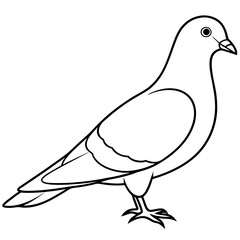 dove of peace