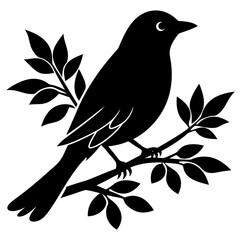 illustration of a bird