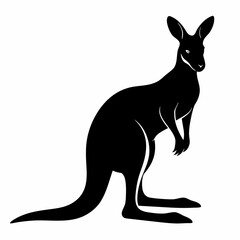 kangaroo illustration