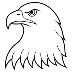 eagle head isolated on white
